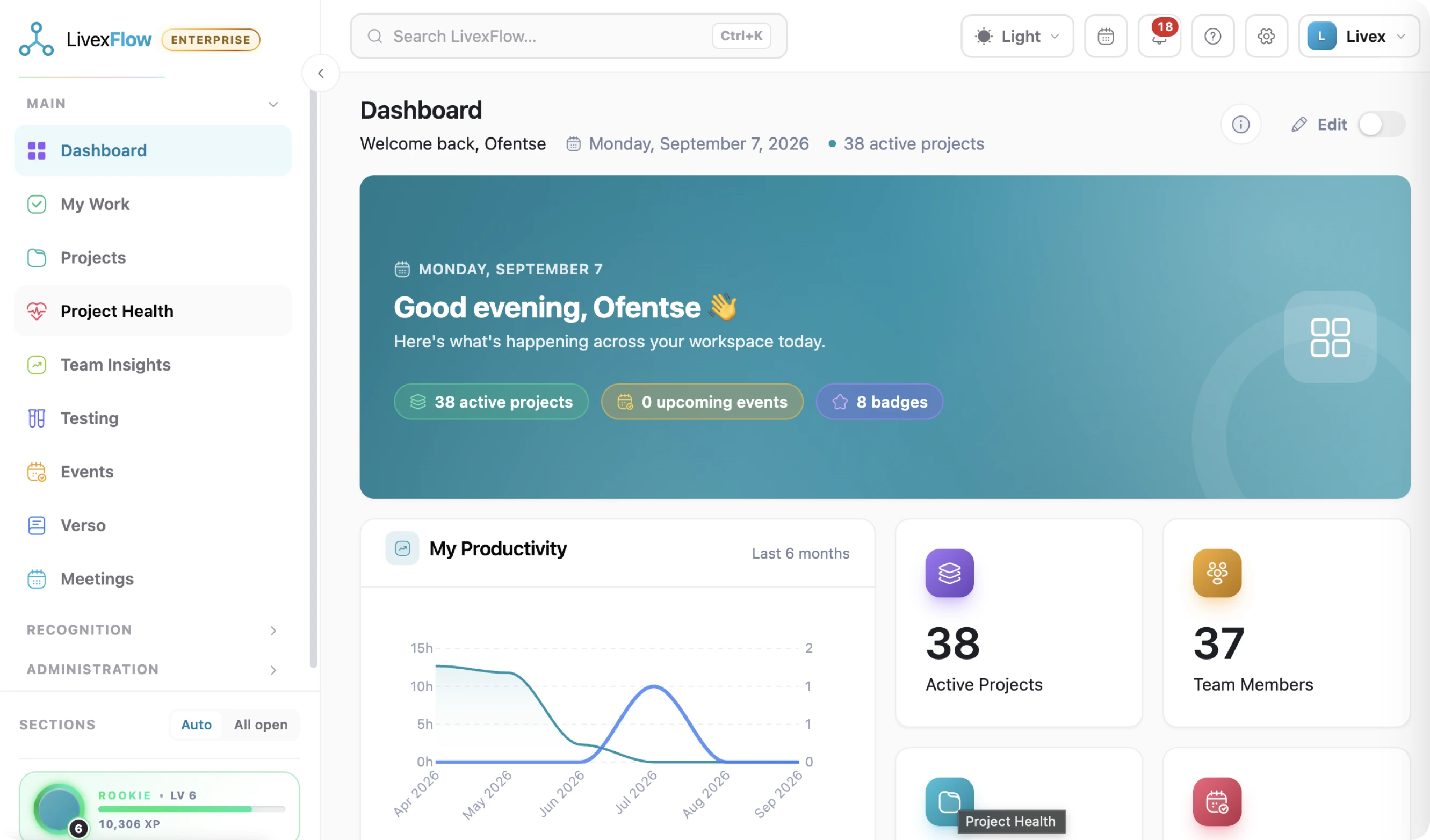 The LivexFlow dashboard showing active projects, productivity charts and team badges