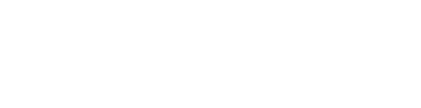 Livex: real software solutions